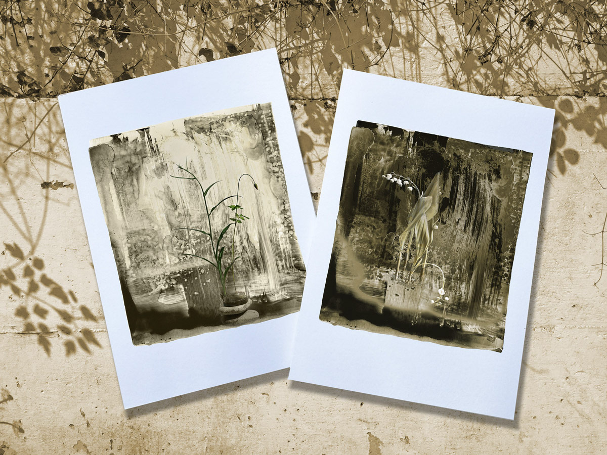 Lily of the Valley and Poppy blank greeting card