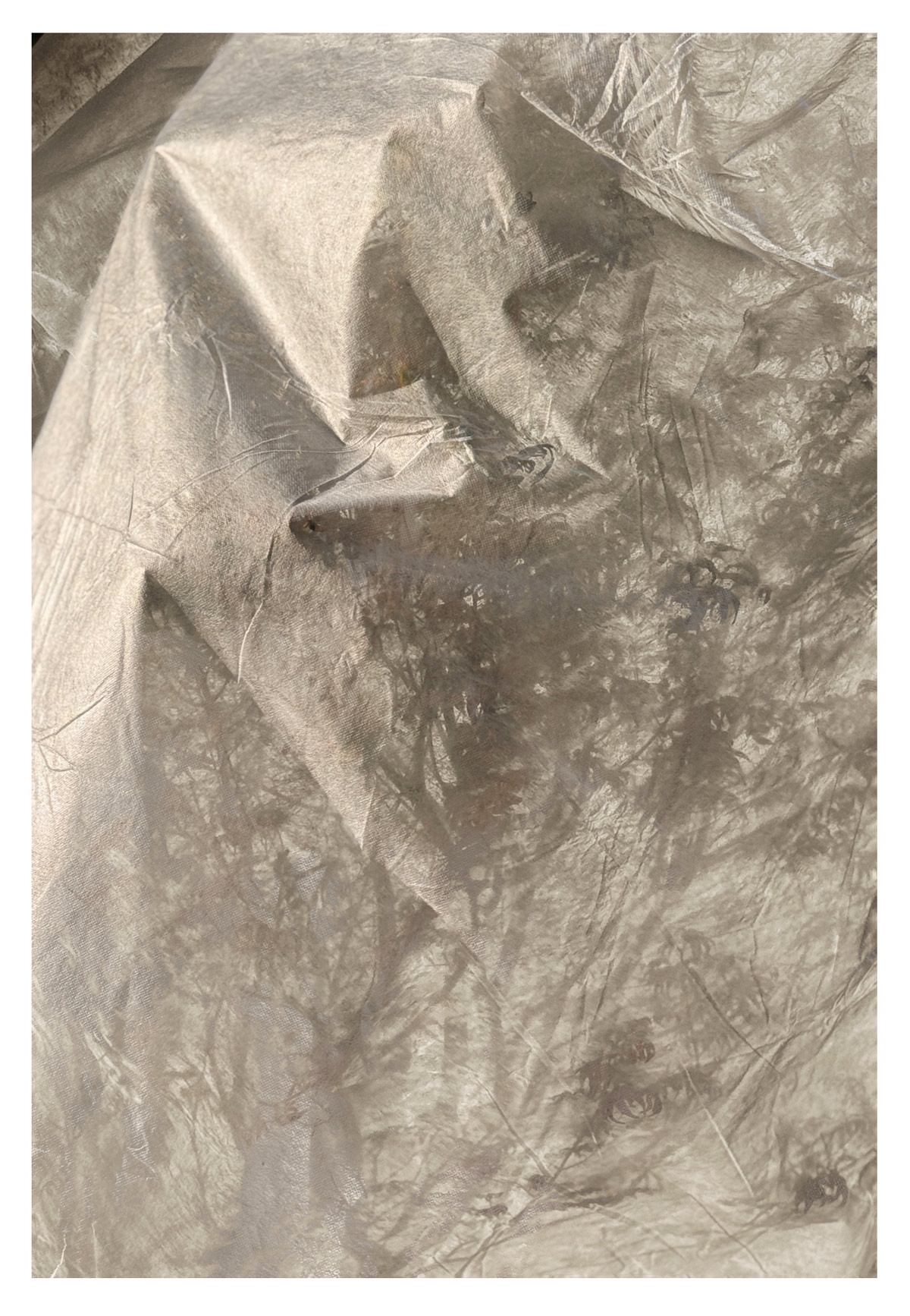 The Wrapped Tree