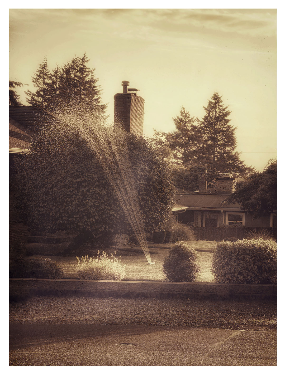 The Sprinkler