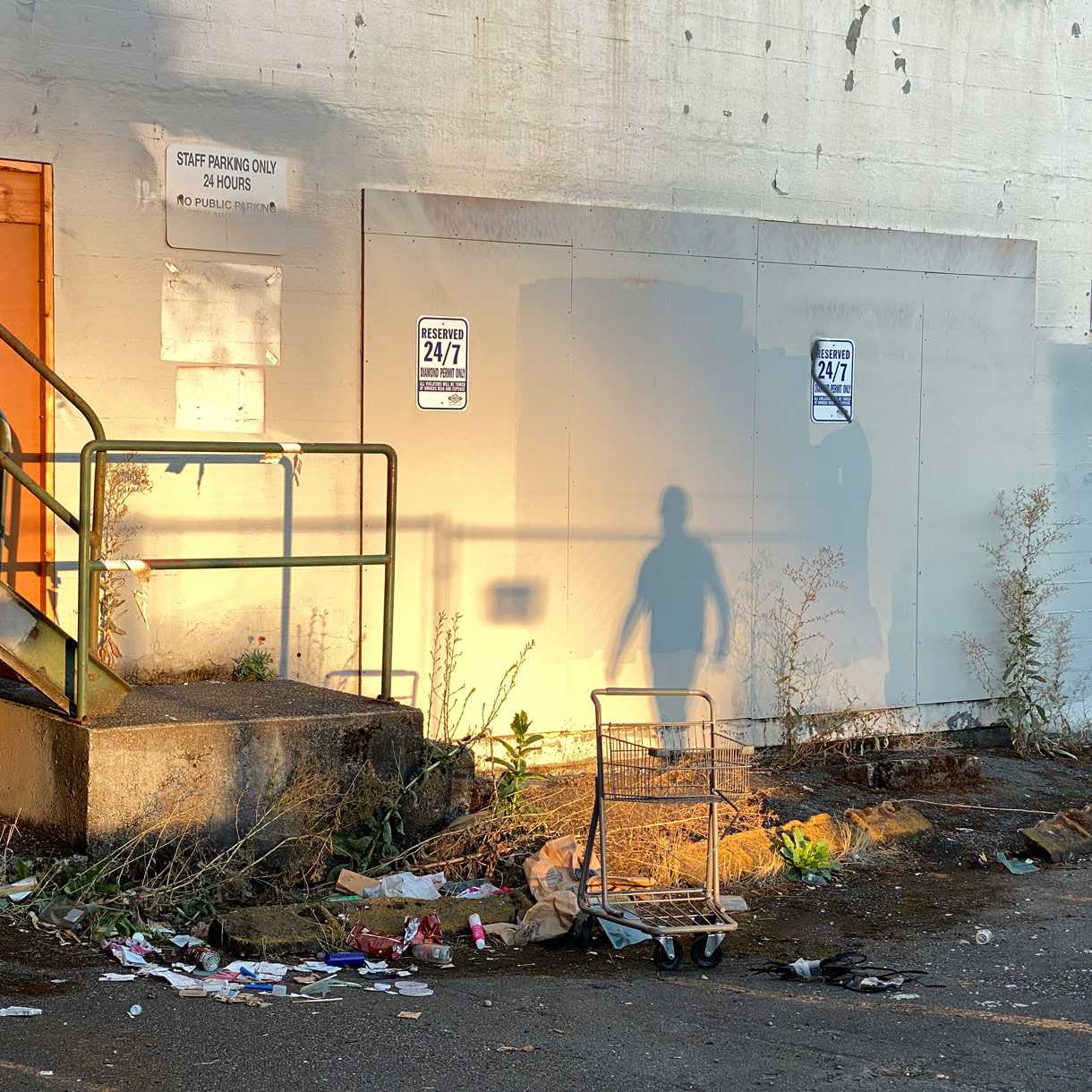 Shadow Portrait of a Photographer